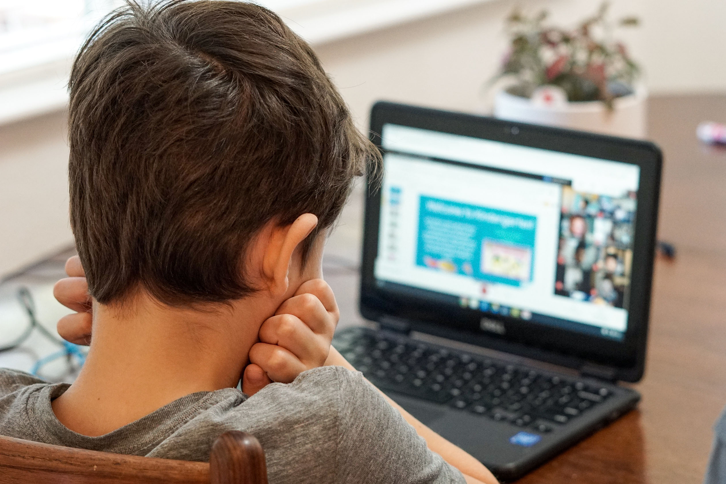 Back of boy's head as he looks at a laptop screen during school.